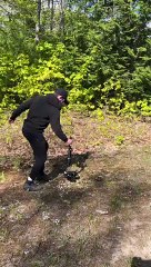 Behind the Scenes of Majestic Baby Duck Running in Flowers