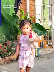One-year-old girl and her pet chicken, “Cocomelon”, charm the internet with their adorable friendship