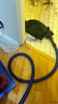 Hidden Shower Found Behind Leaking Bathroom Wall