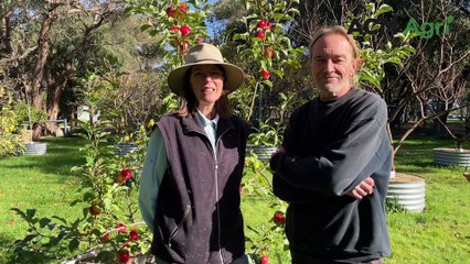 What it's like farming on French Island | June 2023 | Stock & Land