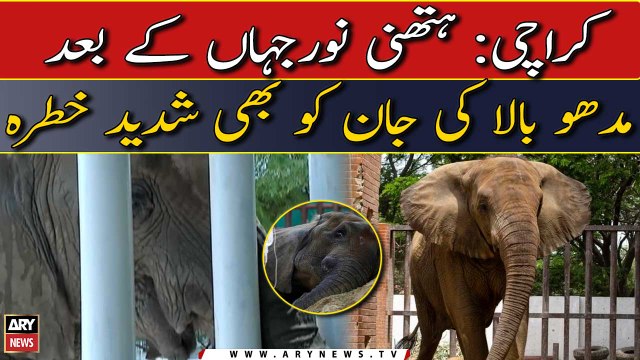 Noor Jehan kay bad Madhubala ki jaan bhi khatre mein