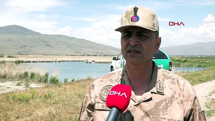 Inspection par drone de la chasse au mulet perlé au lac de Van