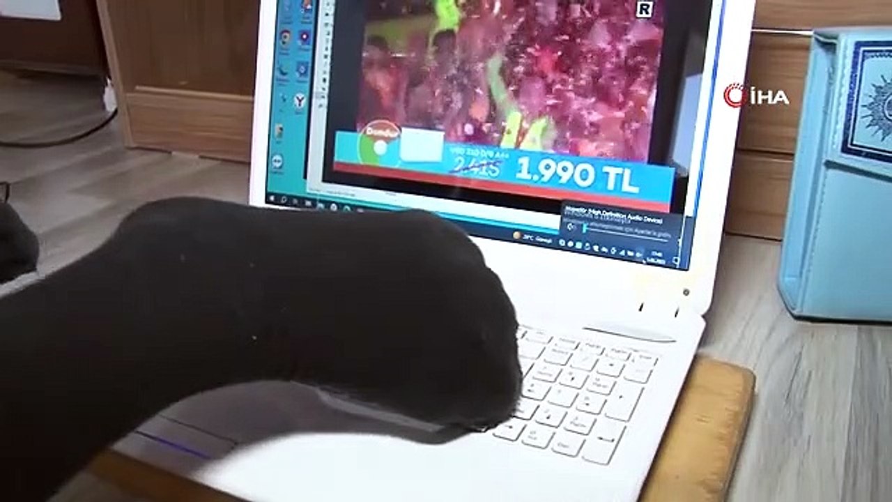 Engelli Galatasaray taraftarı Murat İçli'nin aşkı