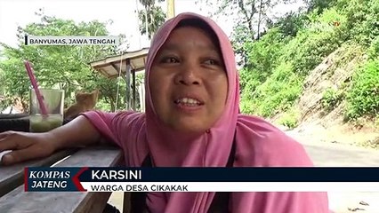 Kawanan Monyet di Banyumas Mencari Makan di Rumah Warga