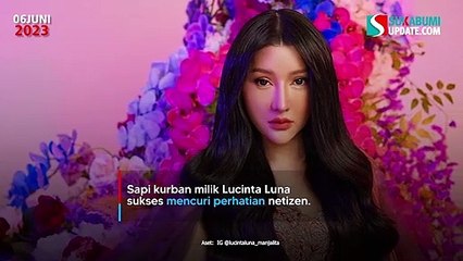 Sapi Kurban Lucinta Luna Tampak Menangis, Netizen Auto Heboh