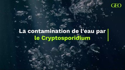 Le parasite retrouvé dans les eaux de Rognac peut-il contaminer d'autres eaux ?