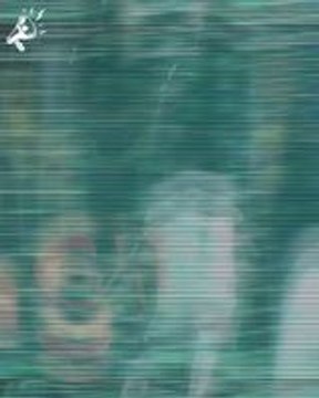 10 Joueurs qui auraient pu jouer avec l'Algérie