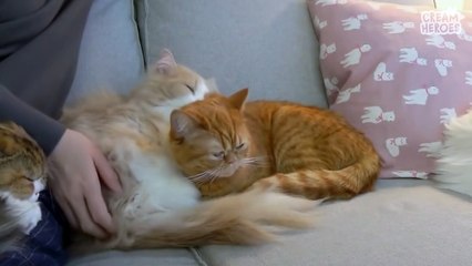  Peaceful grooming time~