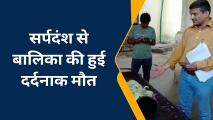 कोटा: सर्पदंश में बालिका की हुई दर्दनाक मौत , देखिए कहां और कैसे हुआ हादसा