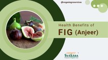 Fig (Anjeer) Health Benefits in Weight loss, Healthy heart and Strong bones
