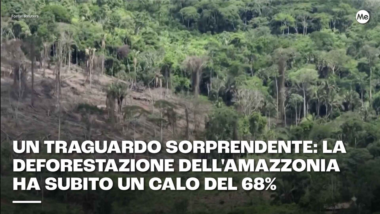 Un traguardo sorprendente: la deforestazione dell'Amazzonia ha subito un calo del 68%