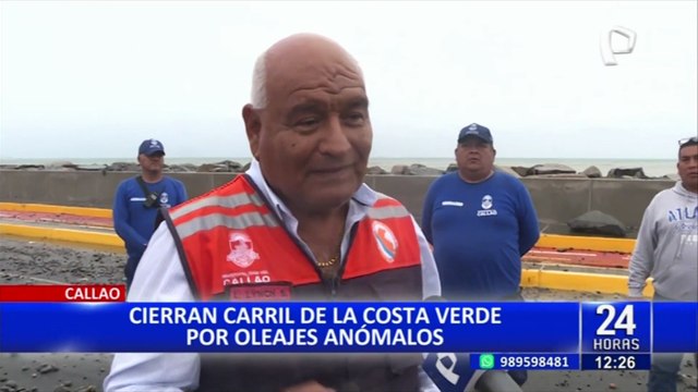 Costa Verde Callao: especies marinas quedan varadas por oleajes anómalos