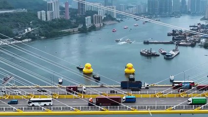 Giant yellow rubber ducks spotted in Hong Kong waters
