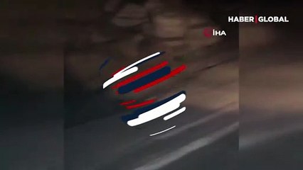 Yüksekova’da domuz sürüsü görüntülendi