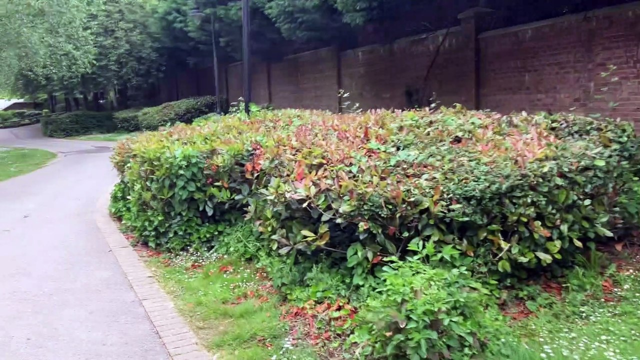 A series of 'art installations' across Horsham are evoking laughter - and a Banksy-style hunt