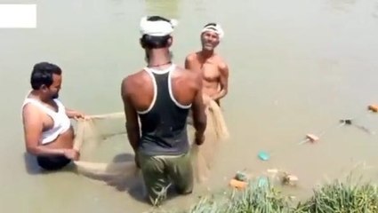 बिजनौरः प्रतिबंधित मांगुर मछली पालन की सूचना पर छापेमारी, कई क्विंटल मछली नष्ट