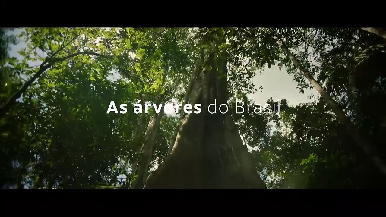 Vale - Semana do Meio Ambiente - Arvoredo