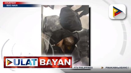 Скачать видео: 2 drug suspects, arestado sa magkakahiwalay na anti-illegal drug operation