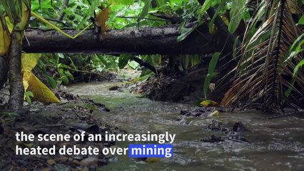 In Ecuador biosphere, battle lines form over mining plans