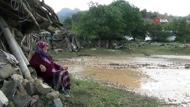 Sağanak yağış çeltik arazilerine zarar verdi
