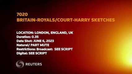 Prince Harry and MGN'S lawyer seen in London court