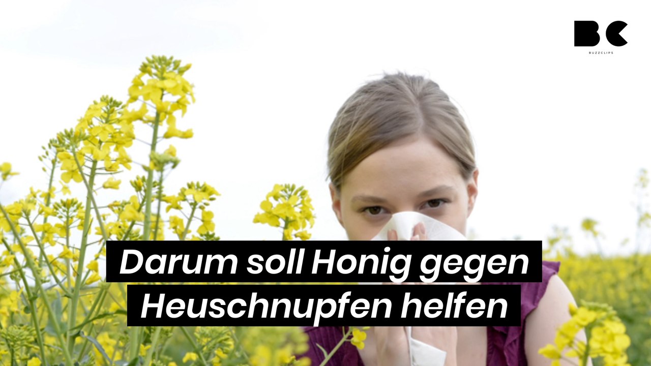 Darum soll Honig gegen Heuschnupfen helfen