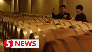 From arid sands to sweet success: Vineyards in NW China
