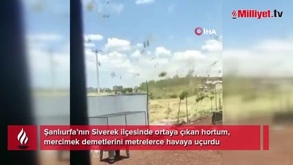 Siverek’te çıkan hortum paniğe neden oldu