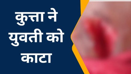 आगरा: आवारा कुत्ते के आतंक से ग्रामीण भयभीत, युवती को काटकर किया घायल