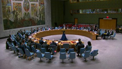 한국, 11년 만에 유엔 안보리 재진입 도전..."선출 유력" / YTN