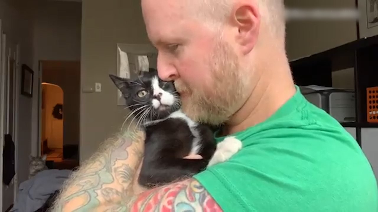 Animal Lover rescues 3LEGGED KITTY! video Dailymotion