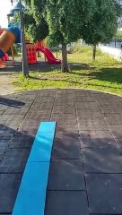Bagnoletto, siringhe nel parco delle Sughere. L'allarme sui social