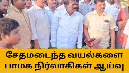 பண்ருட்டி: சேதமடைந்த வயல்களை பாமக நிர்வாகிகள் ஆய்வு!
