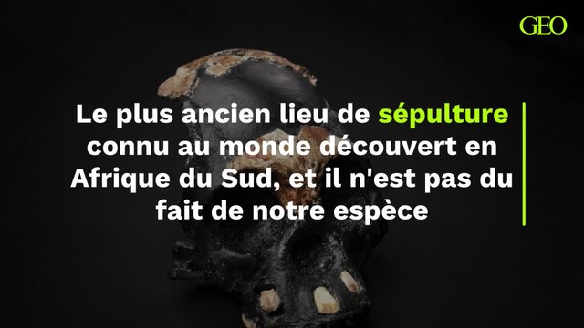 Afrique du Sud : le plus ancien lieu de sépulture connu au monde a été découvert, et il n’est pas du fait de notre espèce