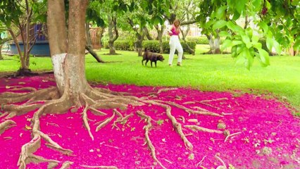 bd-la-hormona-de-la-felicidad-060623