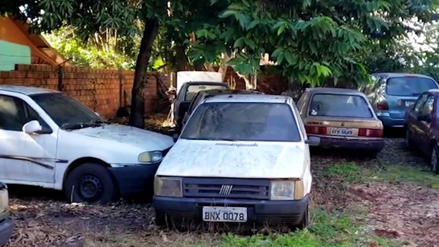 Gambá fica preso em motor de carro e Corpo de Bombeiros é acionado