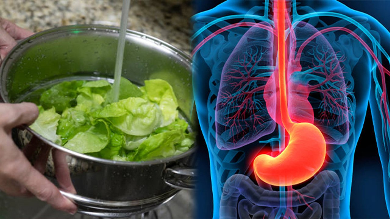 World Food Safety Day 2023 : क्यों मनाया जाता है | World Food Safety Day 2023 Theme | Boldsky