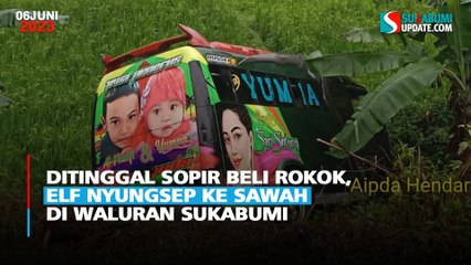 Ditinggal Sopir Beli Rokok, Elf Nyungsep ke Sawah di Waluran Sukabumi