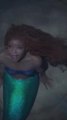 Singer Paloma Faith criticises Disney's The Little Mermaid remake for its messaging