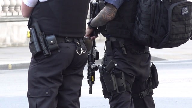 Car crashes into Downing Street gates as police arrest suspected ‘dangerous driver’