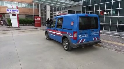 Un garçon de 11 ans grièvement blessé lors d'une attaque d'ours