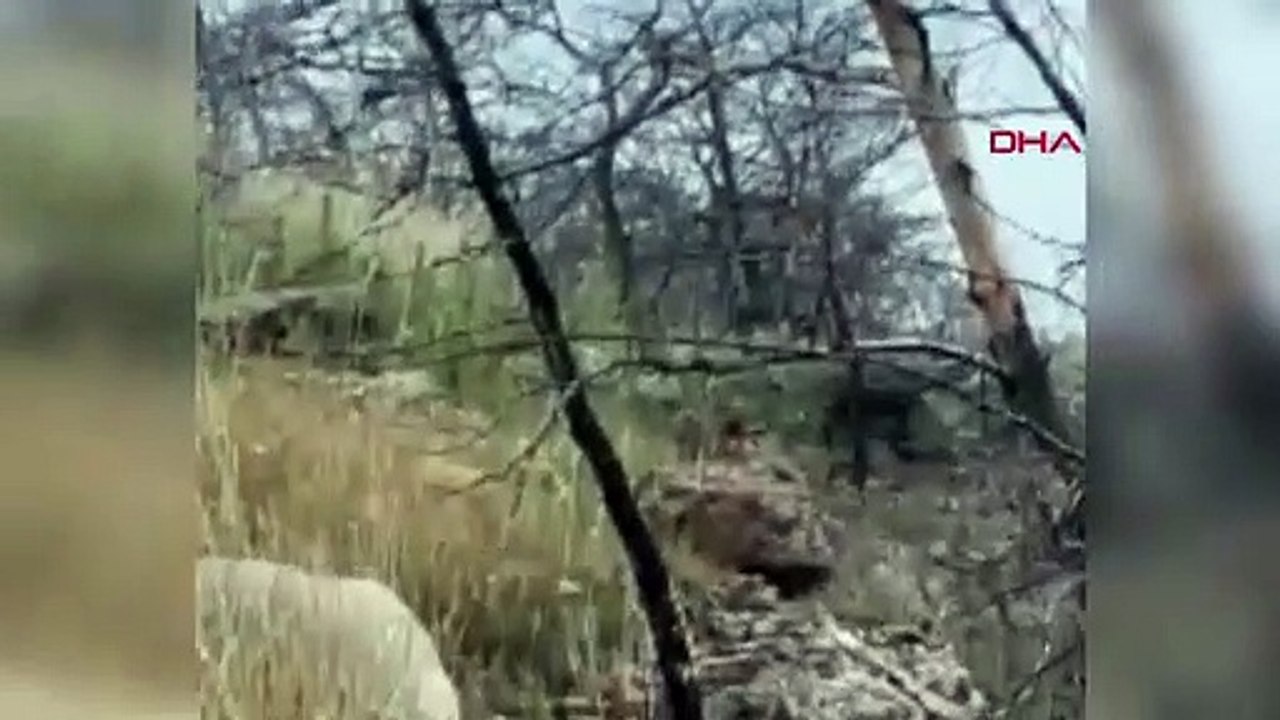 Un renard est entré dans le véhicule du jeune homme qui partait en pique-nique avec ses amis.