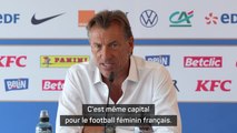 Bleues - Renard sur le problème de diffuseur : 