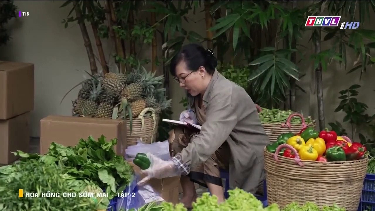 hoa hồng cho sớm mai tập 2 - phim việt nam thvl1 - xem phim hoa hong cho som mai tap 3