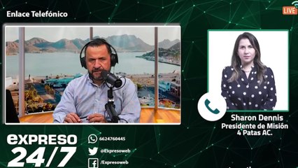 Justicia para los animales que sufren maltrato | Expreso 24/7