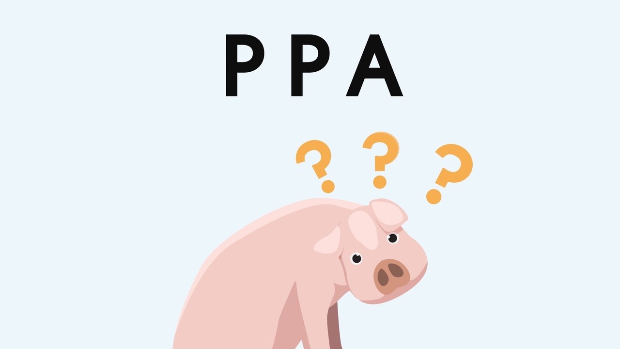 Connaissez-vous la peste porcine africaine?