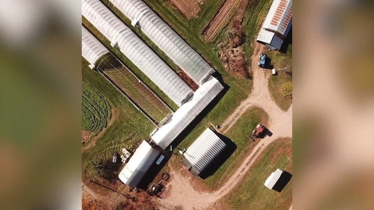 The Mixed Farm Community based Markets Video Dailymotion