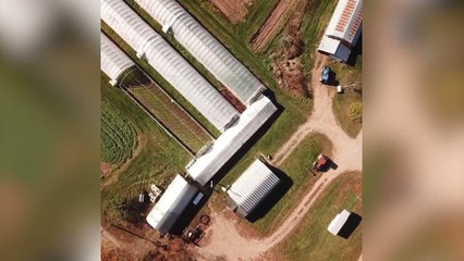 The mixed farm: Community-based markets