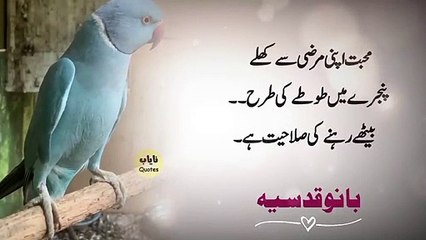 Best Way To Respond An Insulting Person _ Lessons From A Literary Legend,Bano Qudsia's Famous Quotes