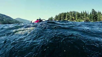 Mergulhadores filmam raro encontro com tubarão de seis guelras